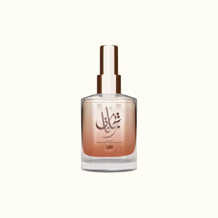 HAIR MIST RAYHANETTEE – LANA BRASILES
